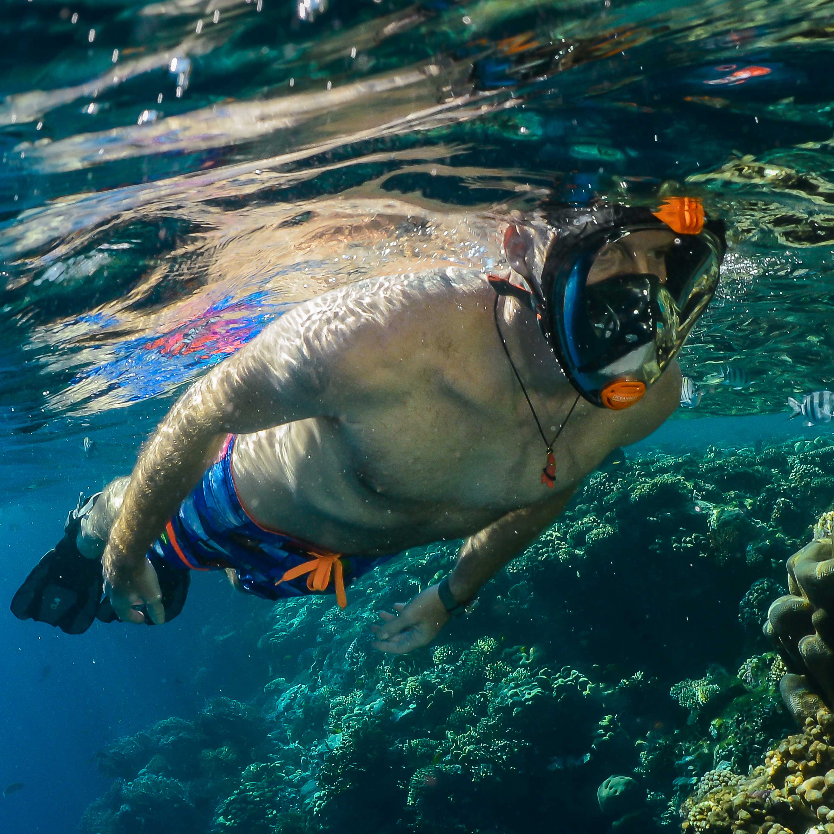 Ocean Reef Aria Full Face Snorkeling Mask Color Black Size L/xl Or018025 for sale online 