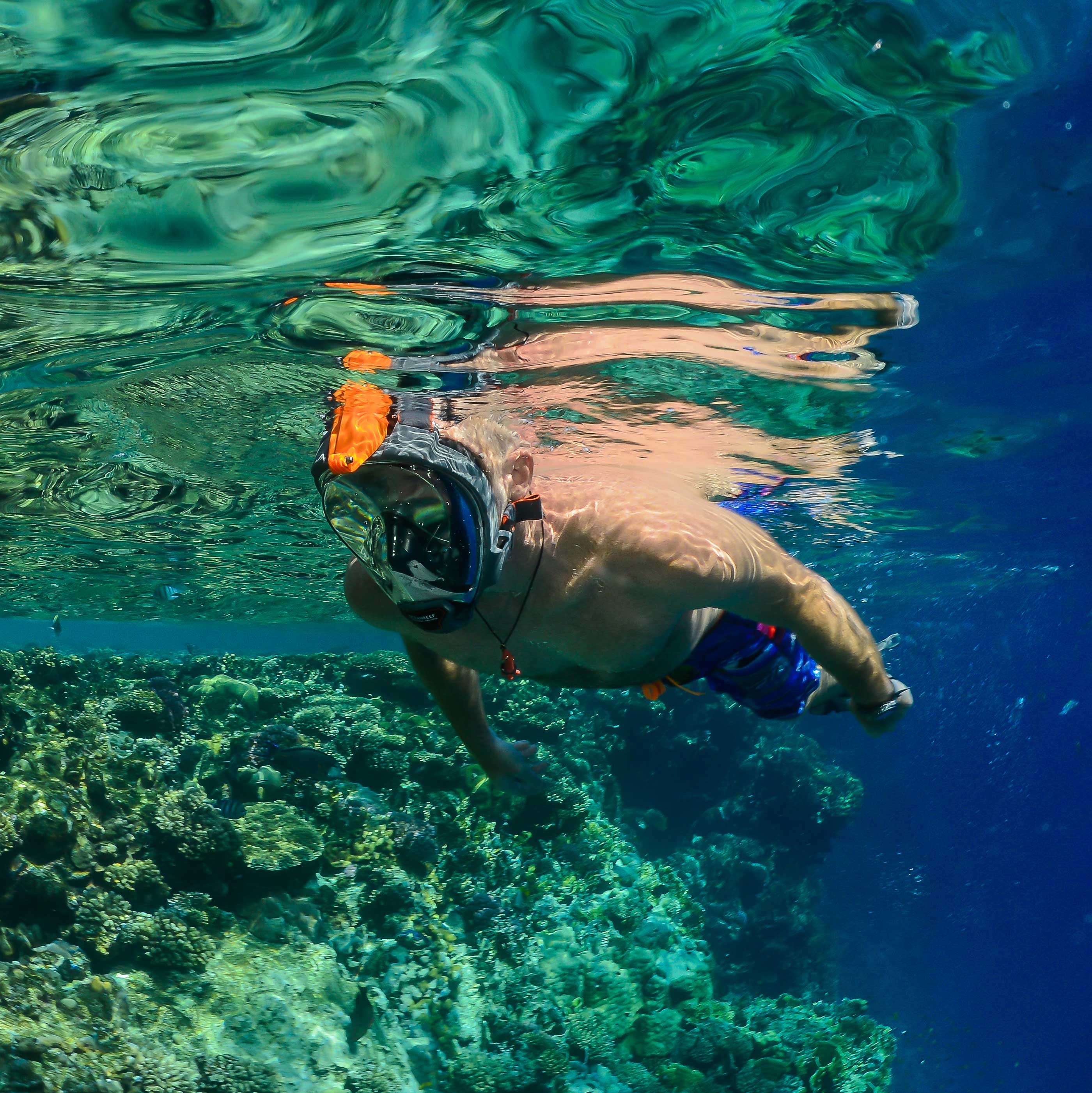 Ocean Reef Aria QR w/ Snorkie Talkie Mask Set Diving Snorkeling Black 
